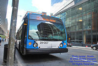 STM-29007-070509-01.jpg