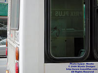 STM-29013-021609-05.jpg