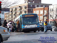 STM-29015-022509-01.jpg