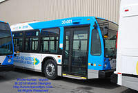 STM-30081-050210-01.jpg