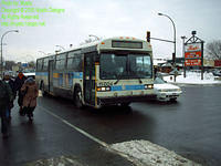 STM-11004-122805-01SP.jpg