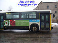 STM-11081-020508-02.jpg