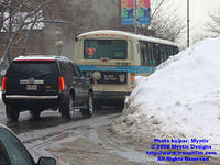 STM-11081-020508-05.jpg