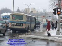 STM-12001-020508-04.jpg