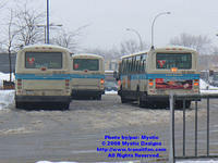 STM-13077-020508-01.jpg