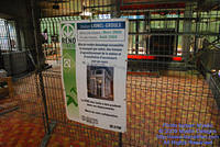 STM-LG-080609-04.jpg