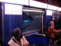 STM-METRO-020508-38.jpg