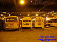 STTR-1062-120207-01.jpg