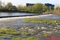 MAVILLE-CHAT-RIV-051211-18