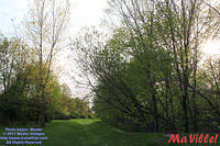 MAVILLE-CHAT-051211-12