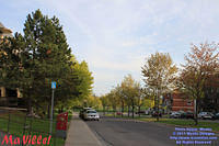 MAVILLE-CHAT-051211-13