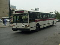 S6305053.JPG