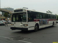 S6305059.JPG