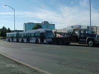 20104 b.JPG