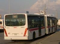 20603 arr.JPG