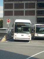 S6300744.JPG