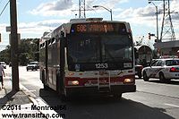 TTC-1253.jpg