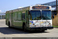 BURT 7046-10.jpg