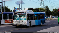 YRT-1033.jpg