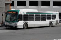 DRT-8504.jpg