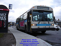 STM-11085.jpg