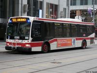 TTC 8395.jpg