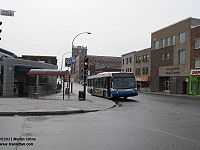 STM 21-247.jpg