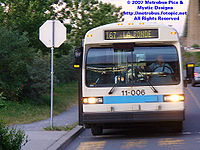 STM 11006.jpg