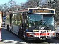 TTC 7927.jpg