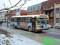 STM-11048.jpg