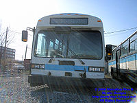STM-11091.jpg