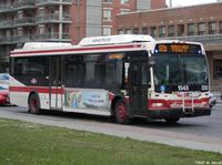 TTC 1545.jpg