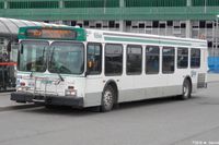 DRT-8436.jpg