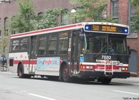 TTC 7882.jpg