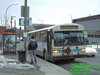 STM-12054.jpg