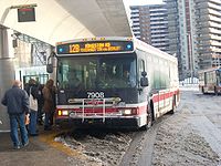 TTC 7908.JPG