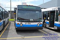 STM 17-174.jpg