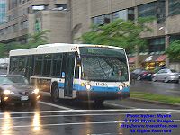 STM 17-010.jpg