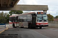 TTC-1681.jpg