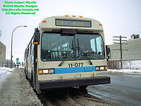 STM-11077.jpg