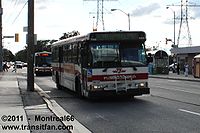 TTC-7058.JPG