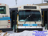 STM-11010.jpg