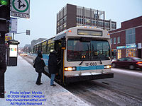 STM-12083.jpg