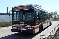 TTC-1028.jpg