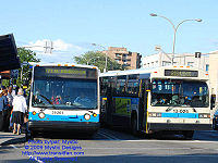 STM 21-261.jpg