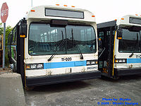 STM-11009.jpg