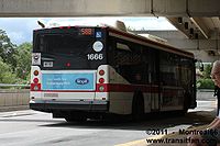 TTC-1666.jpg