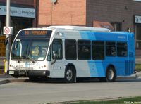 YRT1072.jpg