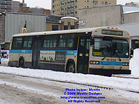 STM-12038.jpg