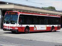 TTC 8143.jpg